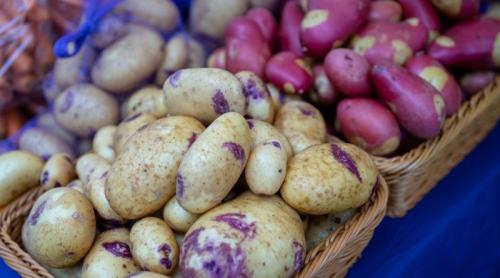 Cartofii colorați, superalimentele care pot reduce tensiunea, inflamația și glicemia