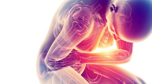 Ce este, de fapt, inflamația. Semnalul pe care îl transmite organismul