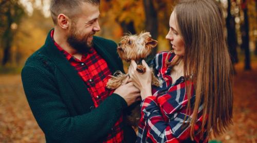 Ce trebuie să știi dacă ai o cățelușă