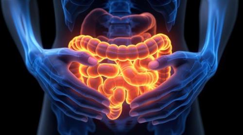 Colonul rigid, legat de un risc crescut de cancer precoce