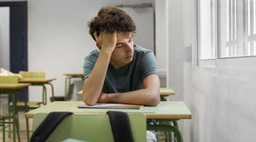 „Elefantul din cameră pentru școala din România”. Cristina Gemanaru trage un semnal de alarmă: „Ei între ei se numesc «prăjiți»”