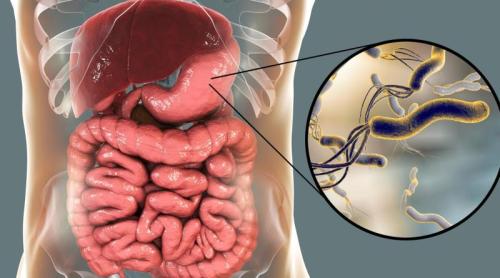 Leguma care distruge Helicobacter pylori din stomac. Bilic: E numărul 1 în protecția anticancer!