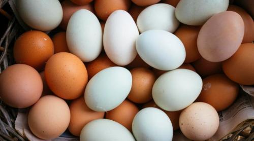 Ouăle din care să nu faci niciodată maioneză. Stroescu: Dau o toxiinfecție groaznică, mortală