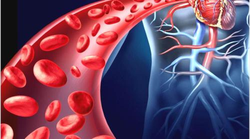 Plantele care curăță sângele și mătură toxinele din corp. Sunt minune pentru circulație
