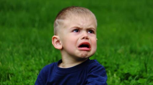 Când copilul are un tantrum, fă aceste patru lucruri, spune un expert în parenting: „Am văzut tot felul de comportamente”