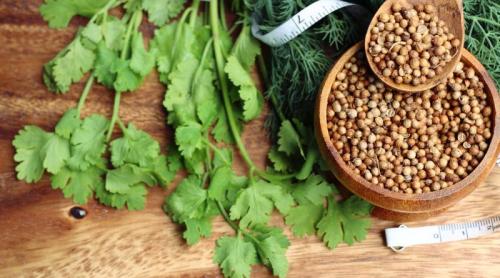 Condimentul care chiar scade glicemia și colesterolul