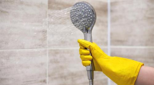 De ce ar trebui să cureți capul de duș mai des decât crezi
