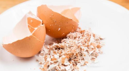 Nu mai arunca niciodată cojile de ouă până nu afli asta