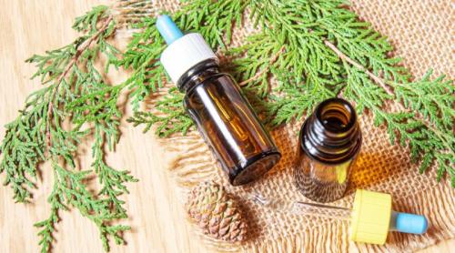 Uleiul esențial care curăță aerul. E leac pentru piele și vergeturi și alungă răul