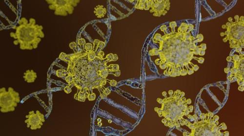 Virusul Nipah, "greu de detectat". Un expert explică: Are perioadă lungă de incubație