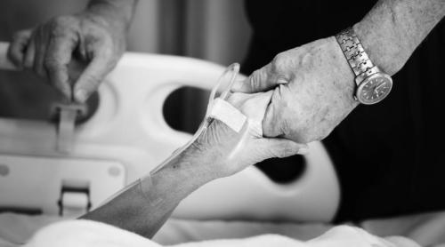 Dr. Monica Pop, reacție dură împotriva eutanasierii