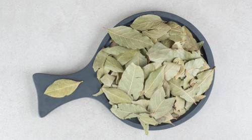 Poți mânca frunzele de dafin? De ce sunt scoase din mâncare și cum se folosesc corect