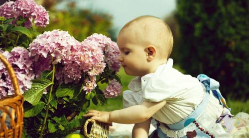 Studiu: Care sunt cele mai frecvente nume în rândul miliardarilor? Cercetarea a analizat cele mai mari 500 de averi la nivel global