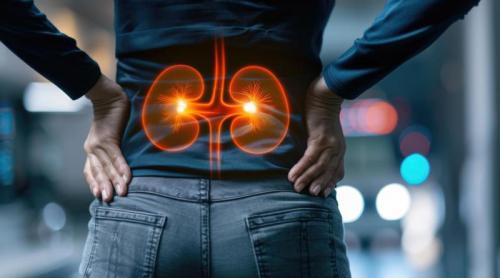 Ce se întâmplă când rinichii cedează. Semnele insuficienței renale