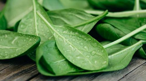 Ce știm despre leurdă și efectele ei asupra sănătății