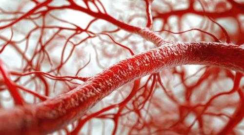 Compusul produs de intestin care curăță arterele. Ce trebuie să știi dacă mănânci rodie