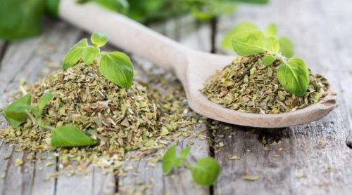 Planta banală care are 5 beneficii puternice pentru sănătate. Distruge bacteriile și are efect anticancer