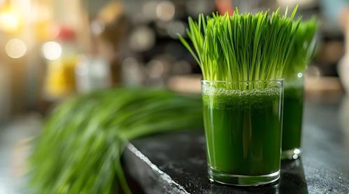 Planta numită "sângele verde" care distruge infecțiile și încetinește cancerul. De ce o adoră tot mai mulți oameni