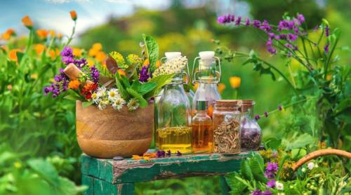 De la controlul glicemiei la protecția inimii. 5 extracte naturale care pot completa tratamentele clasice