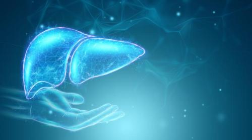 Ficatul gras, boala tăcută care transformă grăsimea în tumori hepatice