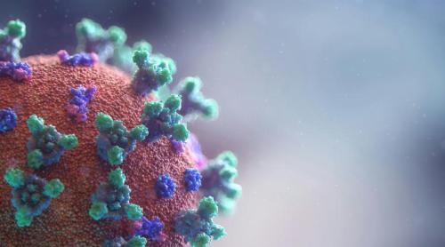 Hantavirus: avertismentul dr. Adrian Marinescu după decesul a trei persoane pe un vas de croazieră