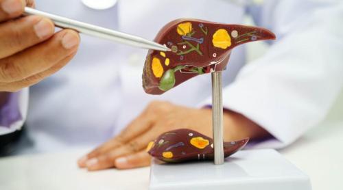 Ingredientul care distruge ficatul. Otrava "invizibilă" din produsele fără zahăr