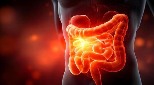 Noi factori de risc pentru cancerul colorectal precoce. Obezitatea și antibioticele cresc incidența 