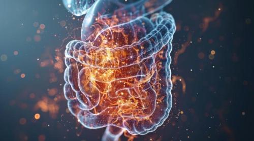 Vitamina care calmează inflamația intestinală. Noua descoperire a cercetătorilor de la Mayo Clinic