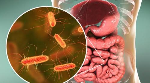 Antibioticele pot lăsa urme în intestin chiar și după 8 ani