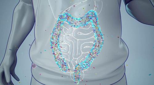 Ce se întâmplă când intestinul începe să „scape” toxine în sânge. Un ingredient alimentar obișnuit ar putea fi soluția
