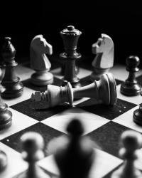 alegeri primar bucuresti ce se joaca in 7 decembrie scenariul lui razvan dumitrescu despre un candidat convenabil nu e drula