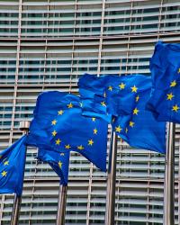 un amendament la acordul mercosur pentru protectia fermierilor europeni respins si cu votul unor europarlamentari romani