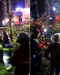 accident snagov o masina ca a lui mihai costa si peste 100 000 euro o investitie de 800 de lei i ar fi putut salva viata