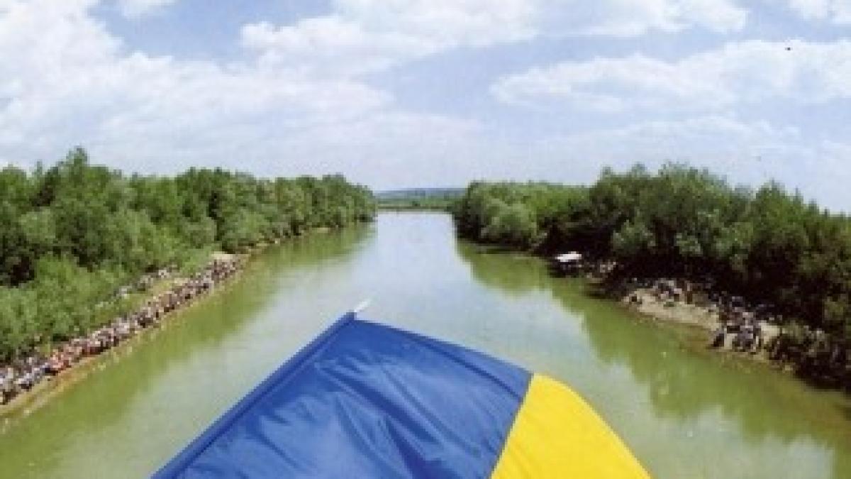 Podul_de_flori_tricolor