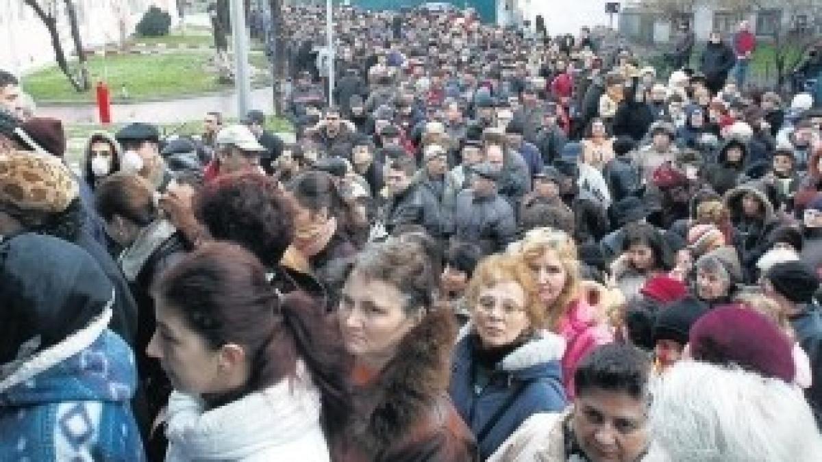 thumb_800_x_476_4269-216197-coada-e1282732400409