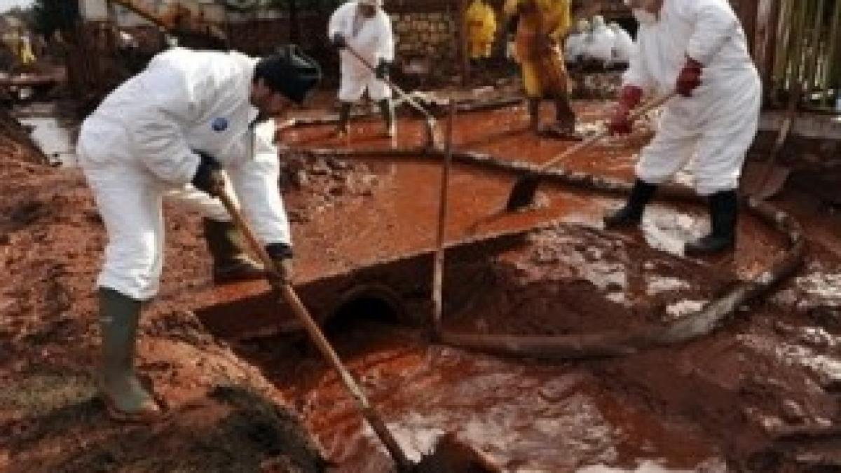 poluare-ungaria-kolontar