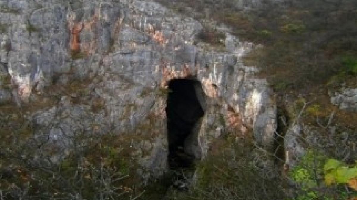 Pestera-Sura-Mare-630x472