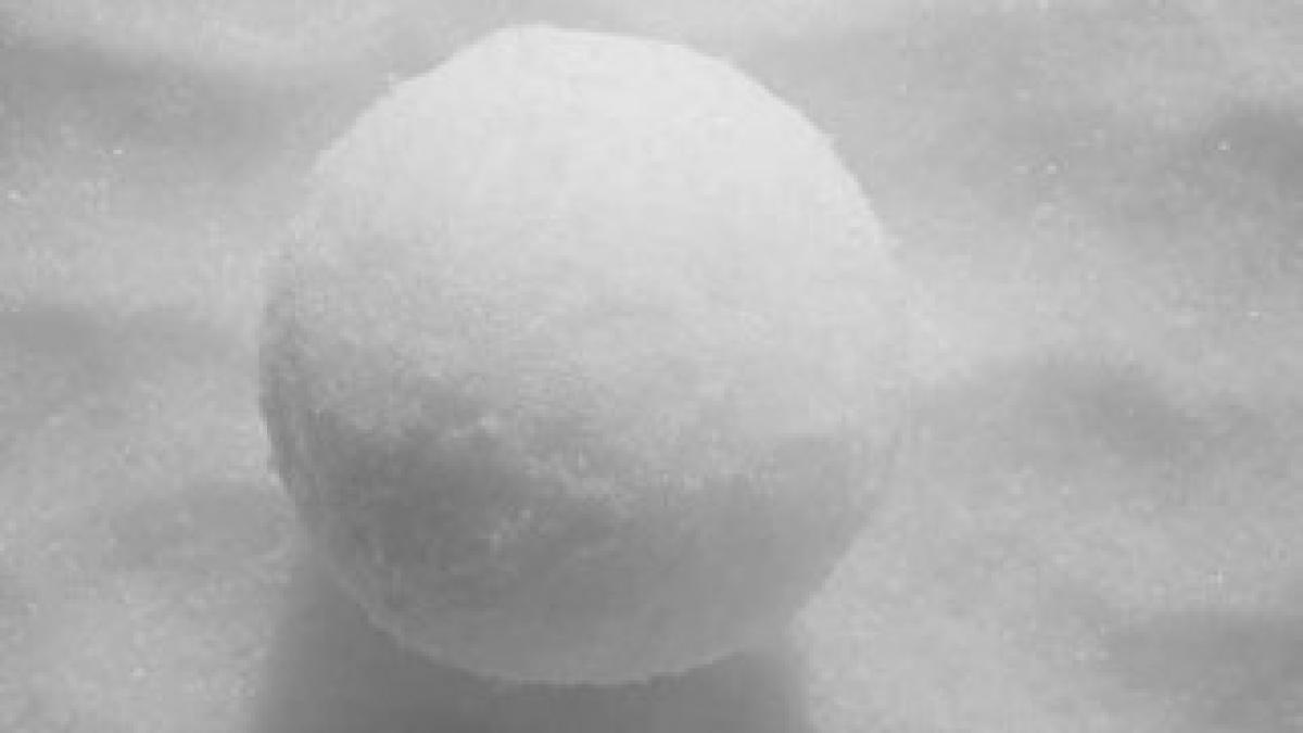 1225L_OPED_SNOWBALL