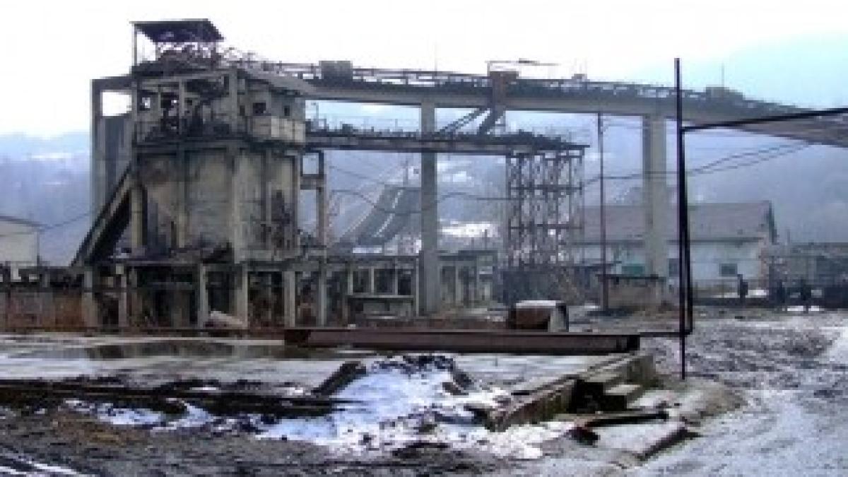 2185_Seful-curatenie-EM-uricani