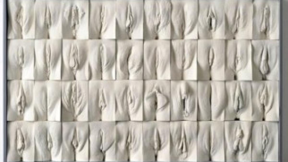 the-great-wall-of-vagina-panel-600x393