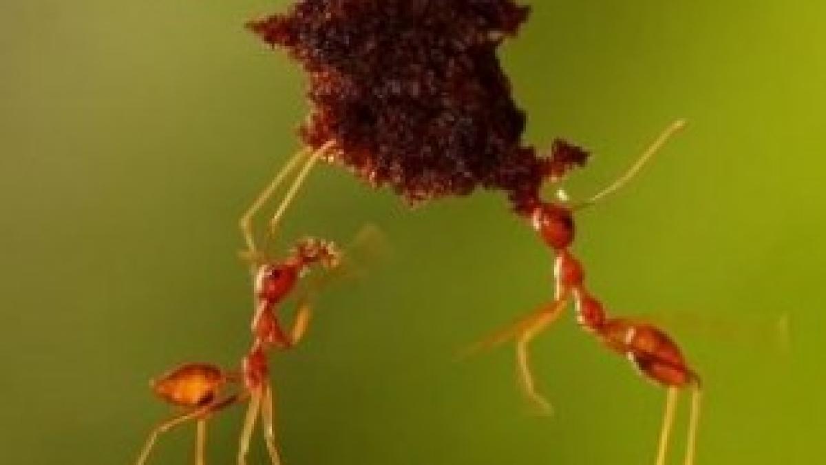 173570-andiyan-lutfi-courtesy-of-sony-world-photography-awards-2011