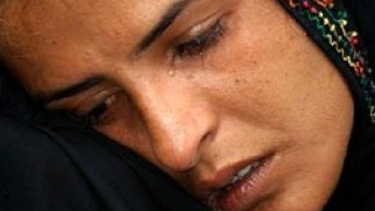 52359727_muktarmaiiiiiiap304