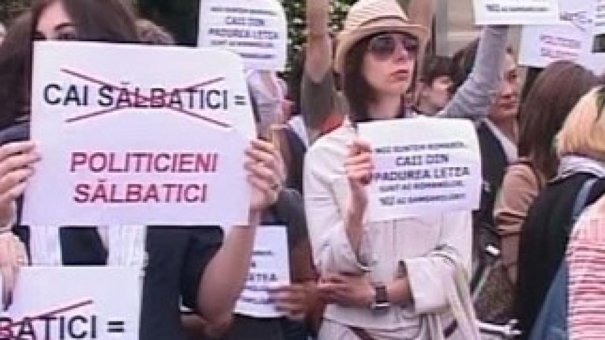 cai_delta_dunarii_63023800