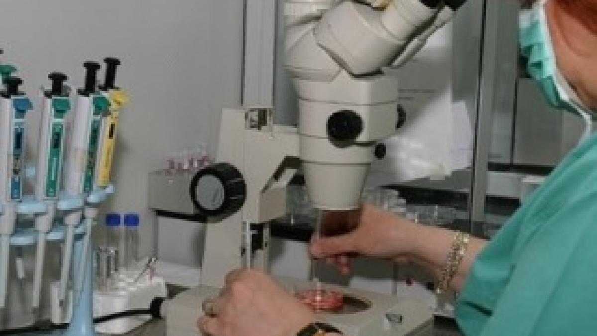 fertilizare_in_vitro