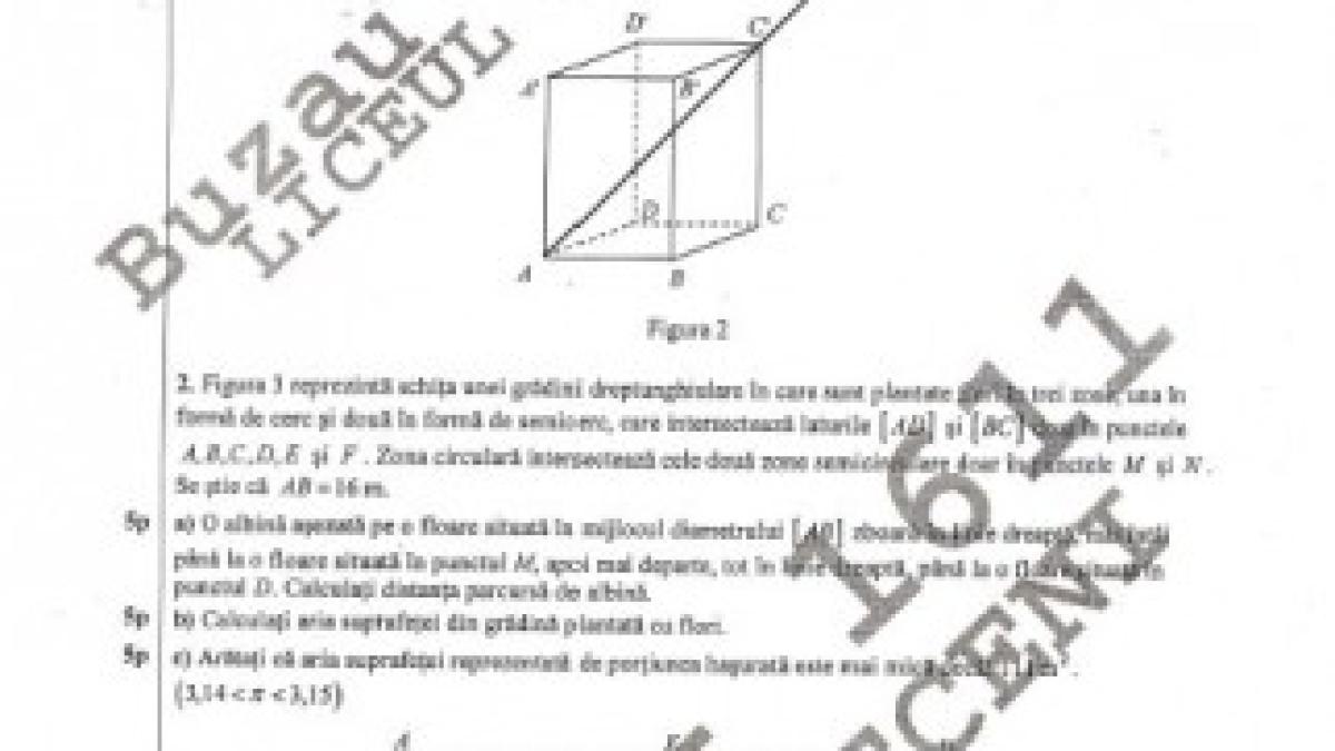 Subiectele-matematica-evaluarea-nationala-varianta-8-2