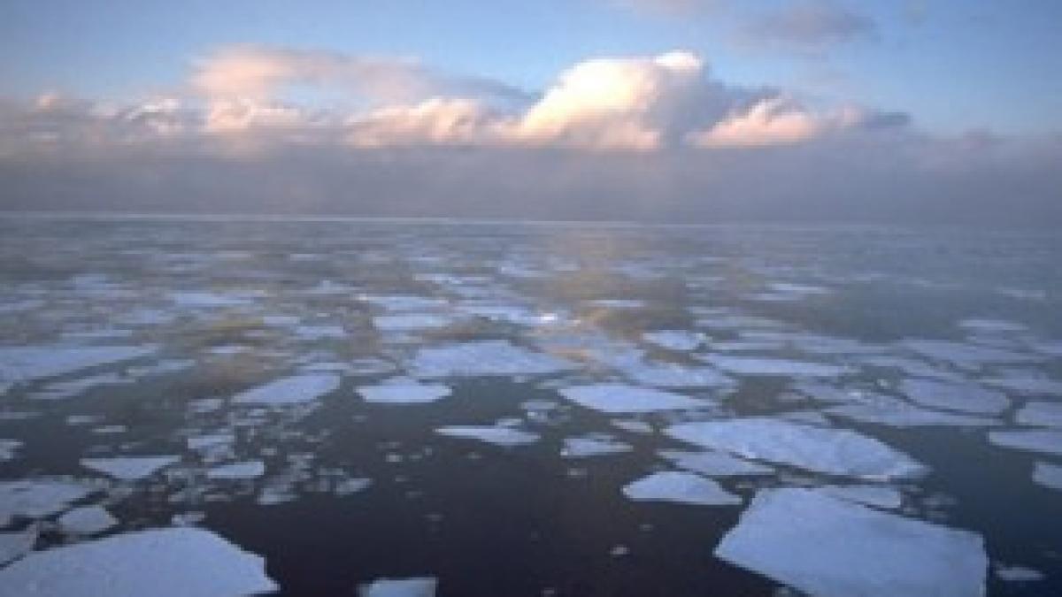 Global_Warming_Causes