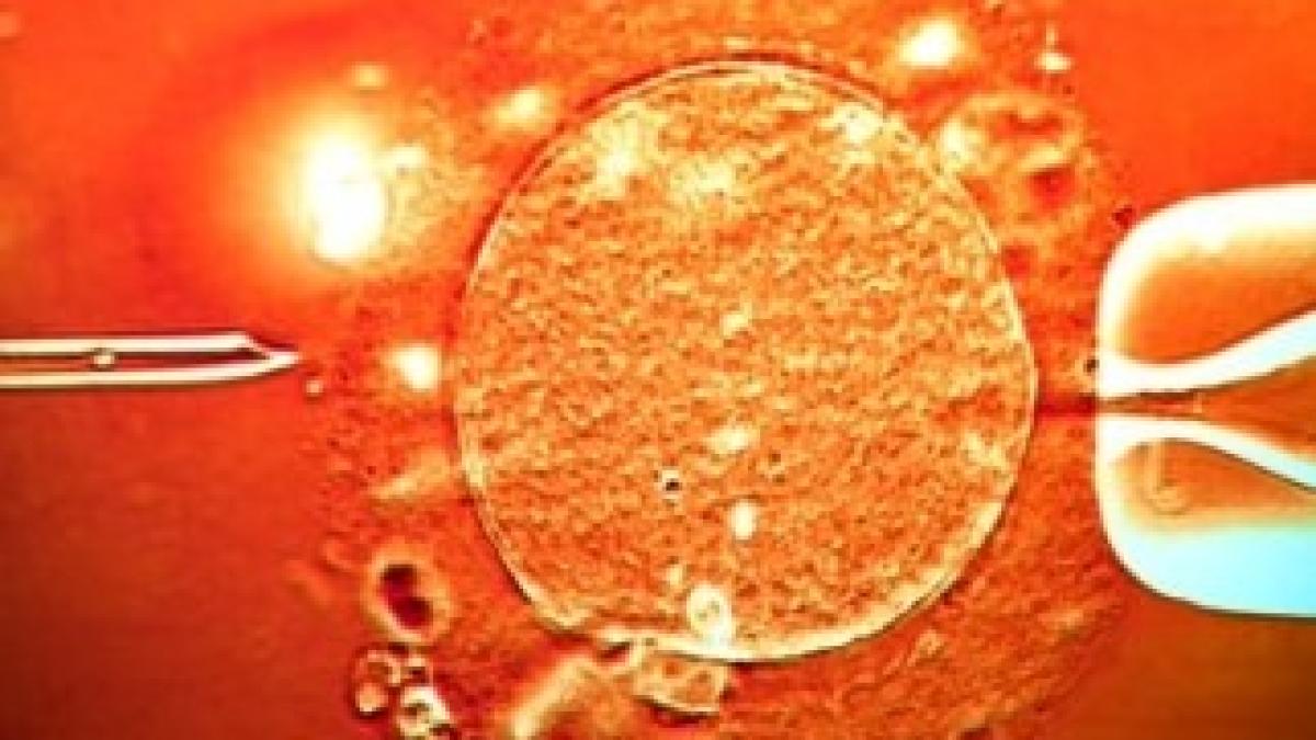 IVF-treatment-0071