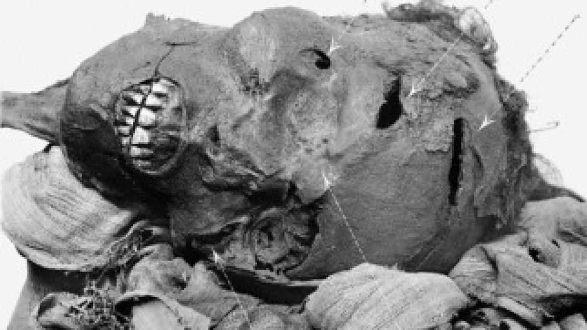 pharaoh_head_52874800