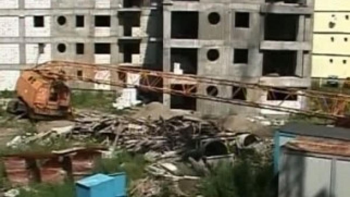 macara_rasturnata_09147200