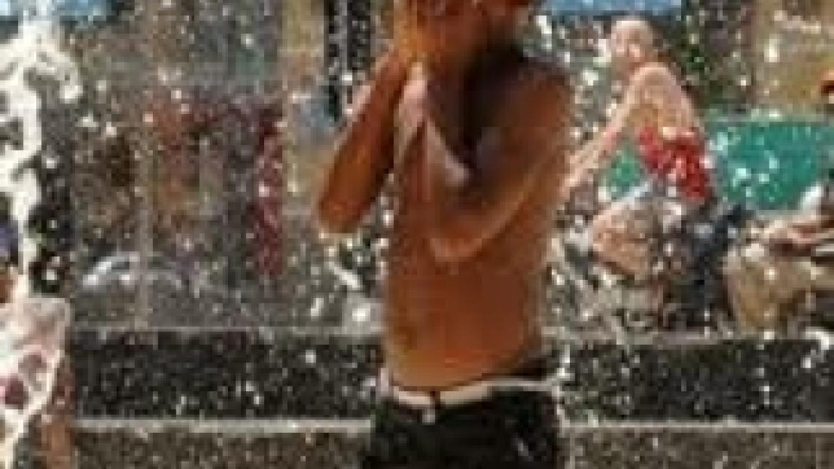 canicula-face-ravagii-in-SUA